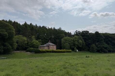 IMG 7557 T202506041030.jpeg