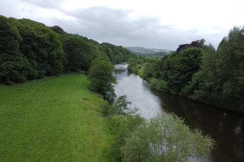 DJI 0127 T202506051230.jpg