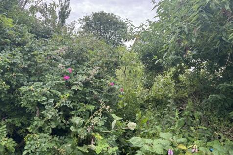 IMG 7698 T202506181229.jpeg