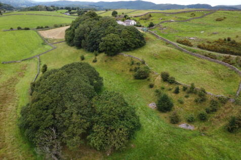 DJI 0160 T202508011421.jpg