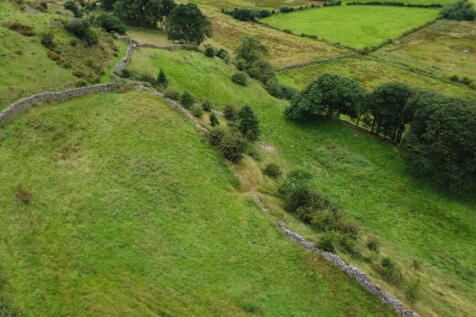 DJI 0162 T202508011421.jpg