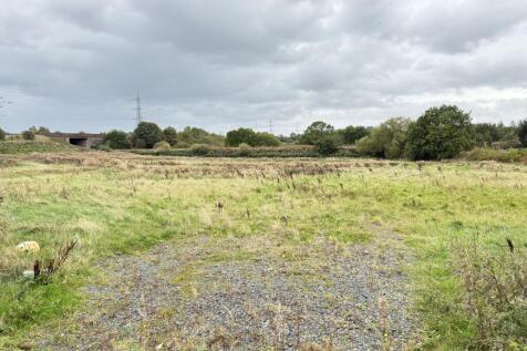 IMG 1638 T202510061145.jpeg