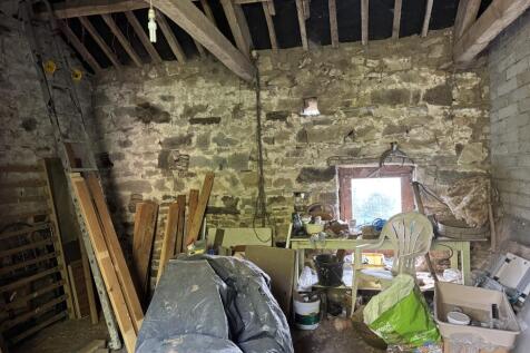 IMG 8482 T202509190921.jpeg