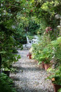 IMG 8405 T202509190928.jpg