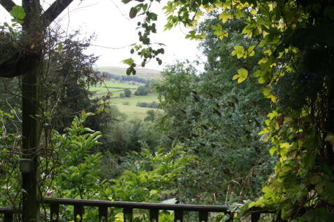 IMG 8511 T202509190930.jpg