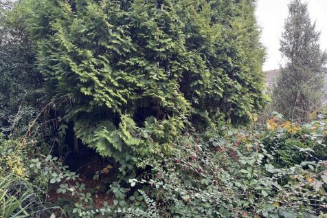 IMG 8773 T202510281145.jpeg