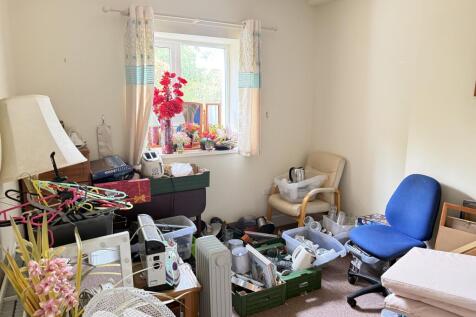 IMG 1720 T202510301636.jpg