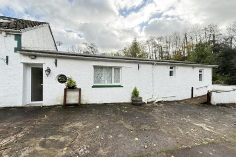 IMG 1729 T202510301636.jpg