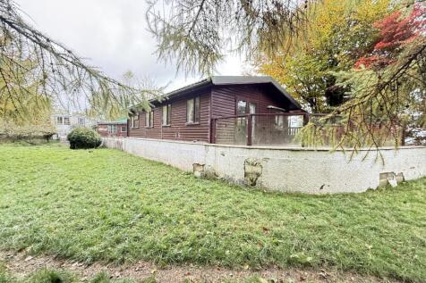 IMG 1739 T202510301636.jpg