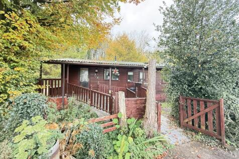 IMG 1740 T202510301636.jpg