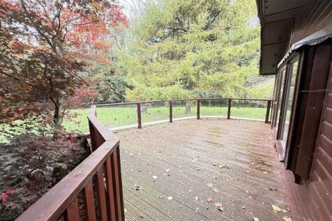 IMG 1741 T202510301636.jpg