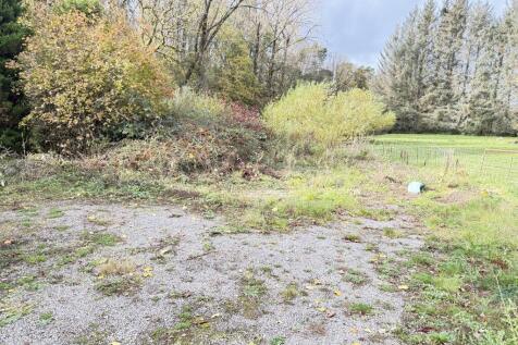 IMG 1747 T202510301648.jpg