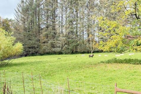 IMG 1748 T202510301648.jpg