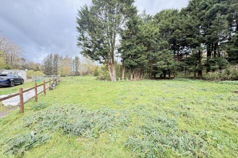 IMG 1750 T202510301648.jpg