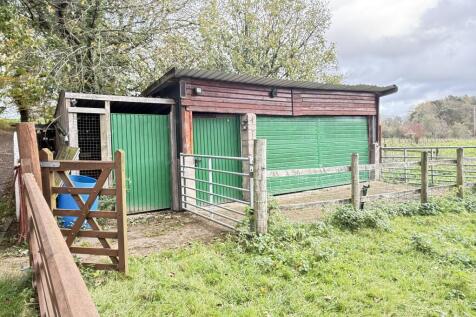 IMG 1752 T202510301648.jpg