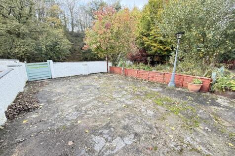 IMG 1732 T202510301636.jpg