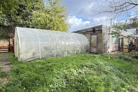 IMG 1744 T202510301636.jpg