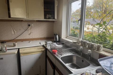 IMG 8910 T202511051018.jpeg