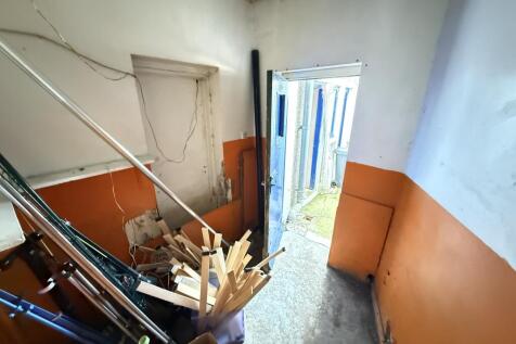 IMG 1786 T202511071021.jpg