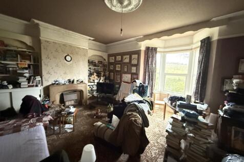 IMG 2024 T202511131557.jpg