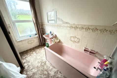 IMG 2023 T202511131557.jpg