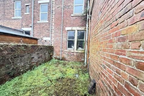 IMG 2033 T202511131557.jpg