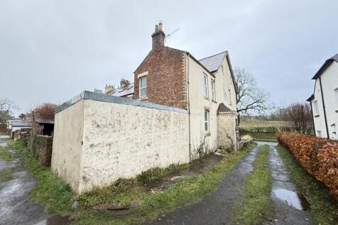 IMG 2032 T202511131557.jpg