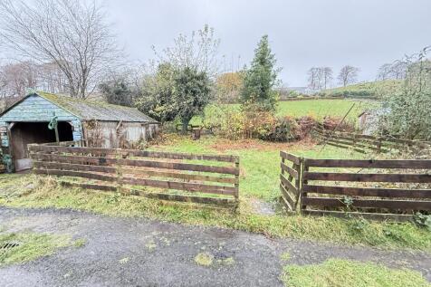 IMG 2029 T202511131557.jpg