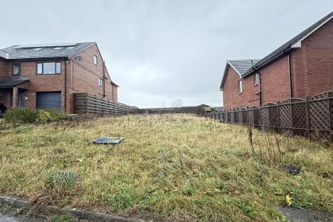 IMG 1876 T202511120948.jpg