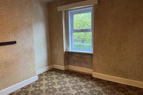 IMG 8976 T202511141607.jpeg