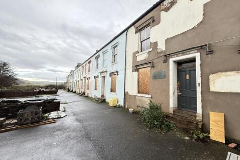 IMG 2098 T202511191337.jpg