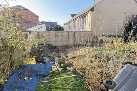 IMG 2165 T202511201659.jpg