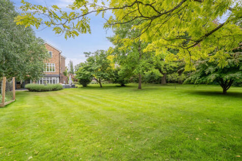Property Image 25