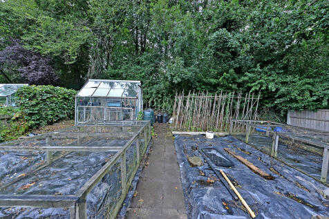 Vegetable Plot