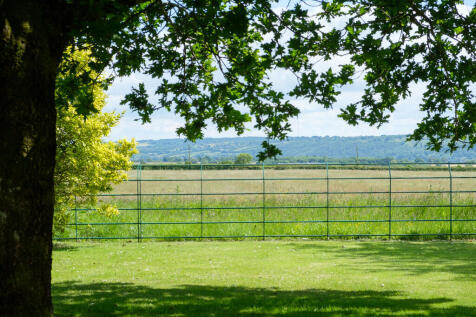 MerryhillFarm_49