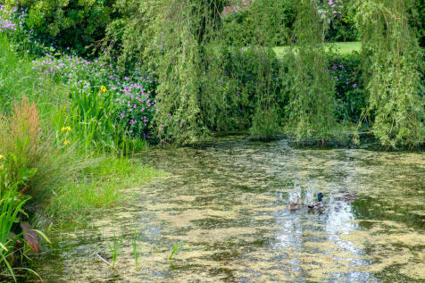 MerryhillFarm_54