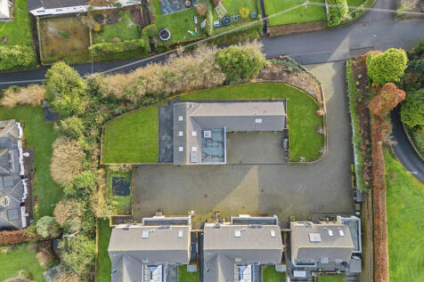 4SilverTrees33