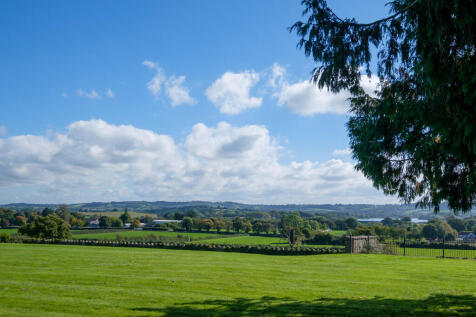 Garden view 3