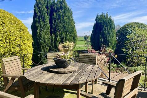 Back Garden