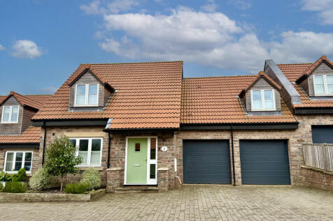 Driveway View