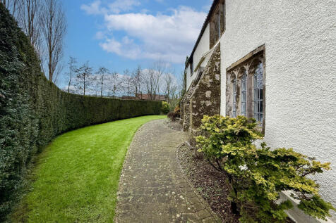 Back Garden
