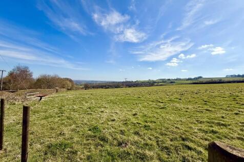 Field Views