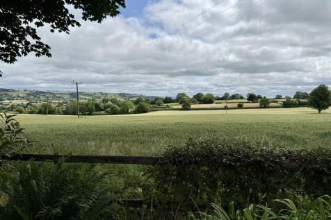 View from garden 