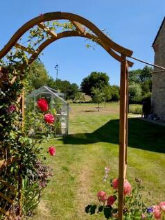 Roses on arch