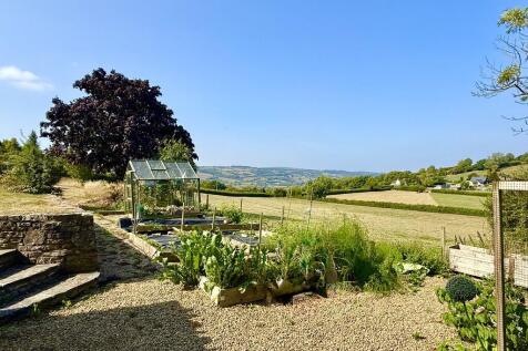 Vegetable Garden