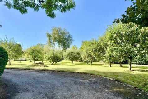 Orchard View
