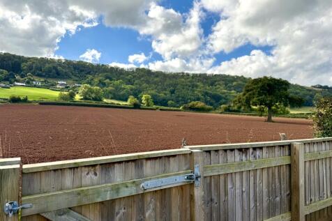 View from Garden