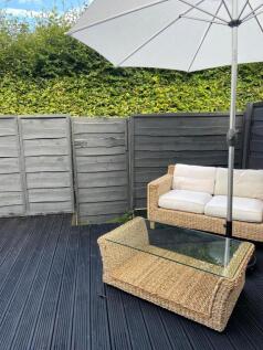 garden 2.jpg
