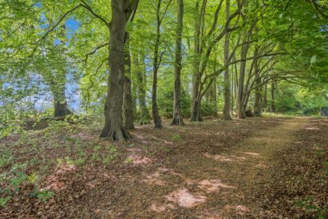 Property Image 34