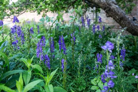 Property Image 37